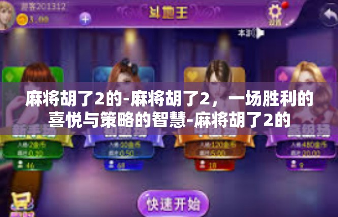 麻将胡了2的-麻将胡了2，一场胜利的喜悦与策略的智慧-麻将胡了2的
