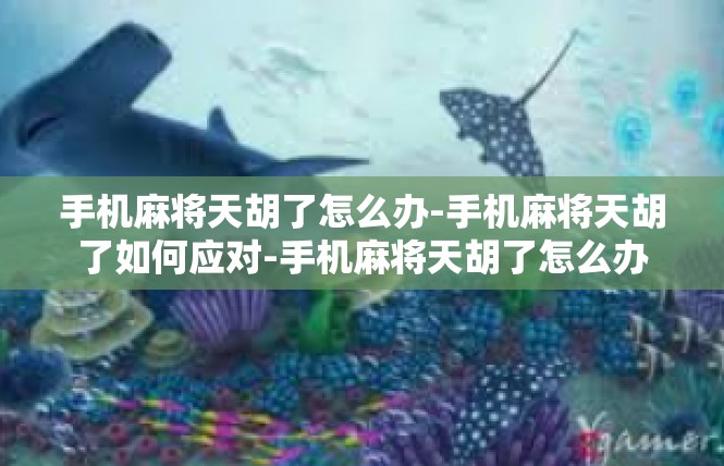 手机麻将天胡了怎么办-手机麻将天胡了如何应对-手机麻将天胡了怎么办