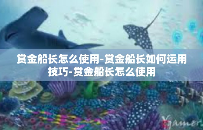 赏金船长怎么使用-赏金船长如何运用技巧-赏金船长怎么使用