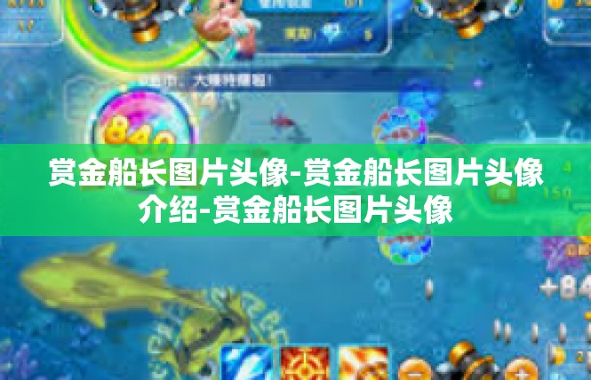 赏金船长图片头像-赏金船长图片头像介绍-赏金船长图片头像