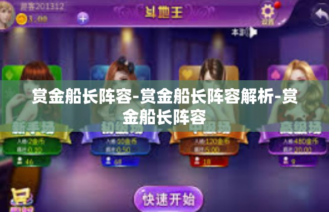赏金船长阵容-赏金船长阵容解析-赏金船长阵容