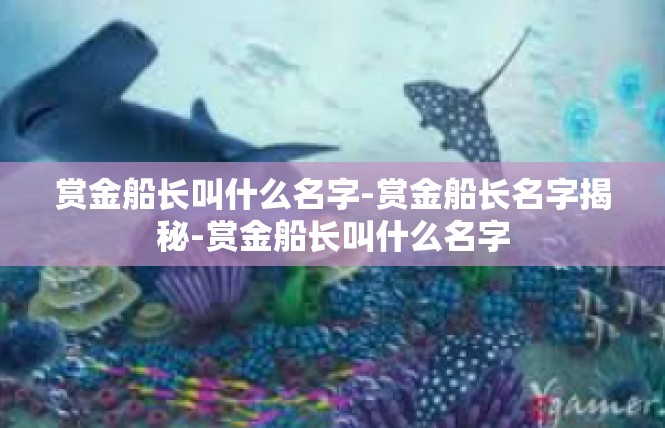 赏金船长叫什么名字-赏金船长名字揭秘-赏金船长叫什么名字