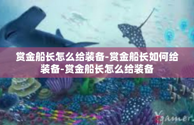 赏金船长怎么给装备-赏金船长如何给装备-赏金船长怎么给装备